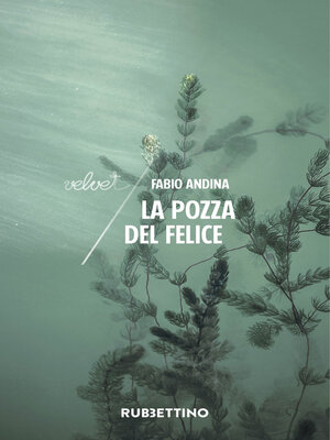 cover image of La pozza del Felice